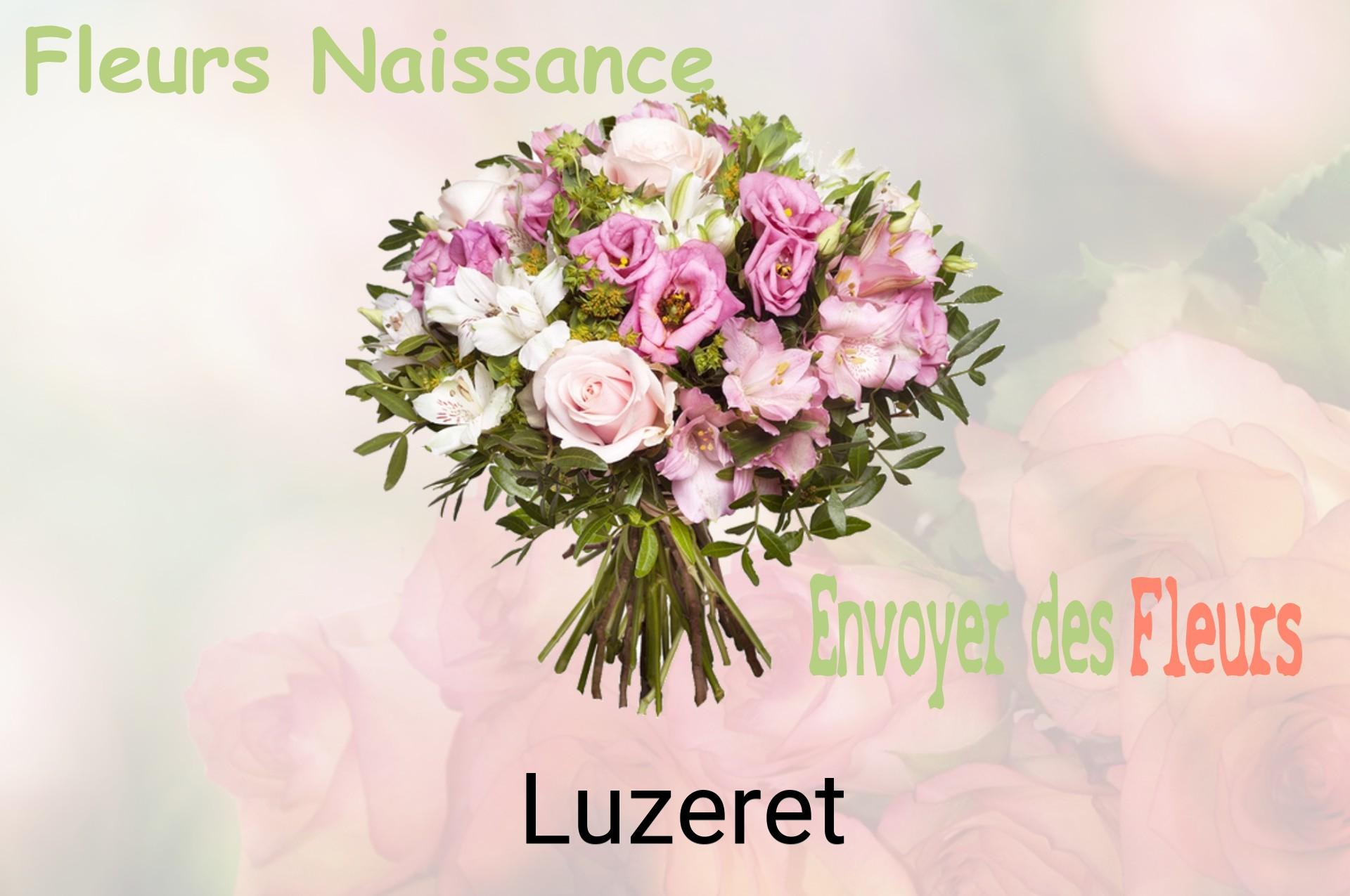 Bouquet de fleurs de naissance livré à Luzeret