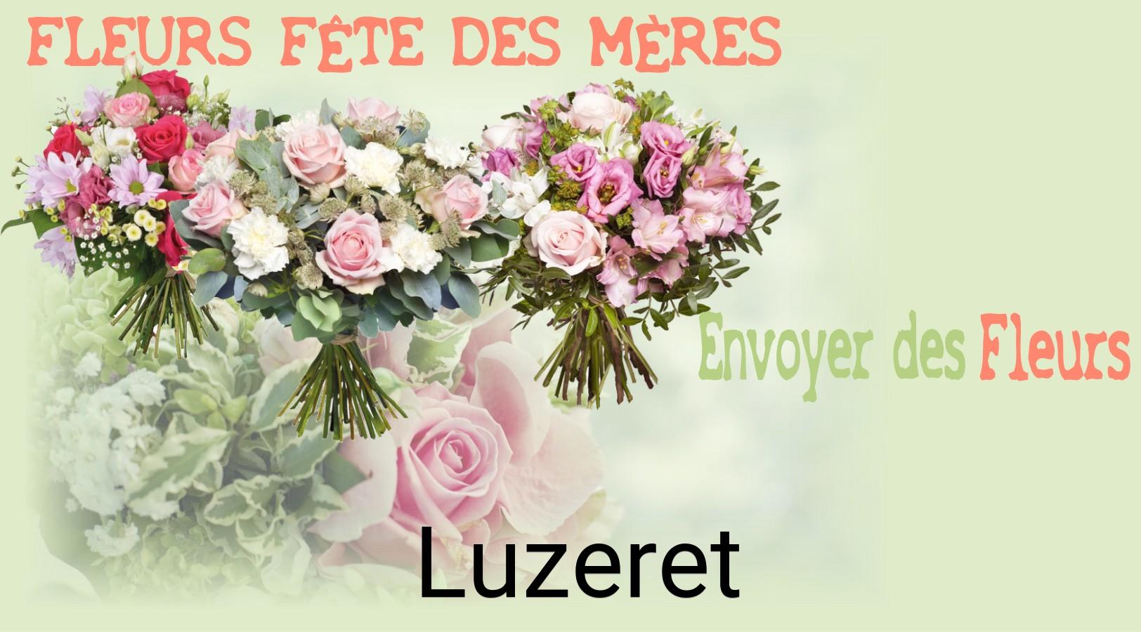 Bouquet de Fête des Mères livré à Luzeret